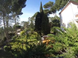 Photo de la galerie de l'établissement Rez-de-chaussée dans grand jardin provençal, à la villa Tatiana, à Antibes 10 autres photos