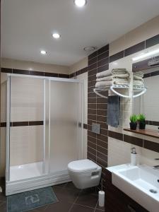 een badkamer met een douche, een toilet en een wastafel bij Nur Sena's House in Istanbul