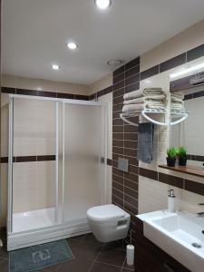 a bathroom with a shower and a toilet and a sink at Nur Sena's House in Istanbul