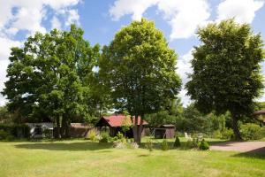 Długie的住宿－Ranczo Marzenia，一群树木和田野中的房屋