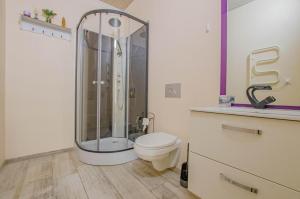 a bathroom with a shower and a toilet at Chambre d'hote chez Angela in Bar-sur-Aube