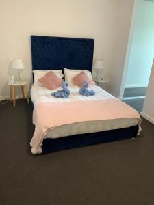 Adelaide的住宿－Central Market Precinct Luxury Apartment，两只塞满蓝色的鸟儿坐在床上