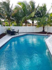 羅德岱堡的住宿－Gorgeous open concept 4 BR with heated pool and lounge area，棕榈树庭院中的蓝色游泳池