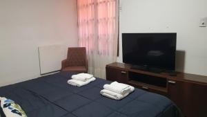 pokój hotelowy z 2 łóżkami i telewizorem z płaskim ekranem w obiekcie Casa barrio norte w mieście San Miguel de Tucumán