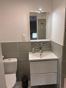 uma pequena casa de banho com WC e lavatório em Studio à 20 min des cures thermales de La Roche Posay - Casino em Archigny