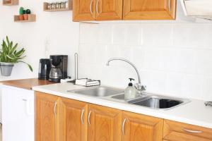 a kitchen with a sink and wooden cabinets at Ostria Rooms in Palaiochora