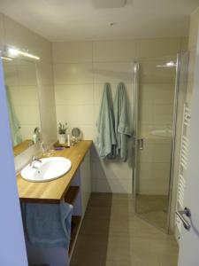 a bathroom with a sink and a shower at Haus 6 Apartment 3 in Plau am See