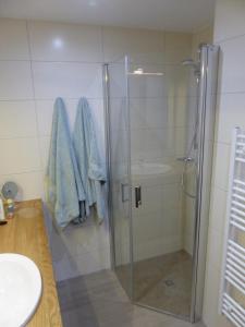 a shower with a glass door in a bathroom at Haus 6 Apartment 3 in Plau am See