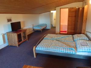 a hotel room with two beds and a television at Chata Nová Huť in Nové Hutě