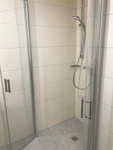 a shower with a glass door in a bathroom at Hafendorf Haus 5_ Apartment 3 in Plau am See