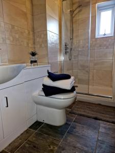 een badkamer met een toilet, een wastafel en een douche bij The Nook Cosby Village 
