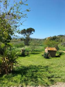 A garden outside L'oca Nera