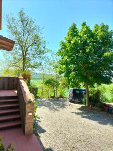 A garden outside L'oca Nera