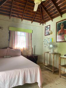 um quarto com uma cama, uma janela e uma ventoinha em Westport Cottage em Negril