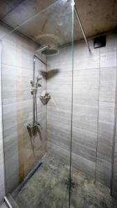a shower with a glass door in a bathroom at Anbani Apartments - City Center in Tbilisi City