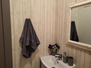 a bathroom with a sink and a mirror at Vēverkalni in Vidriži +32 photos