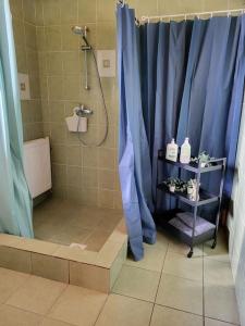 bagno con doccia e tenda blu di Vēverkalni a Vidriži