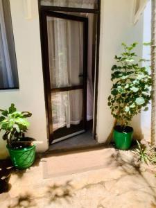 モンバサにあるImani’s homeの鉢植えの植物が2本前に開いたドア