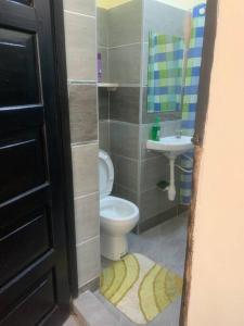 蒙巴薩的住宿－Imani’s home，一间带卫生间和水槽的小浴室