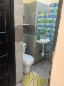 蒙巴薩的住宿－Imani’s home，一间带卫生间和水槽的小浴室