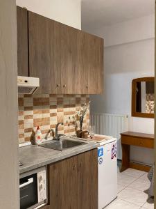 a kitchen with a sink and a dishwasher at Pansion Vasiliki in Ouranoupoli