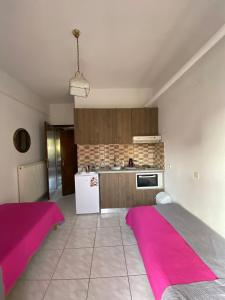 una cucina con tappeto rosa sul pavimento di Pansion Vasiliki a Ouranoupoli