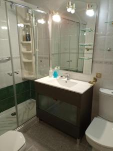 a bathroom with a sink and a shower and a toilet at Habitación Centro Only Mens in Madrid