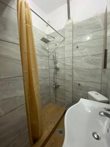 a bathroom with a shower and a toilet and a sink at Pansion Vasiliki in Ouranoupoli
