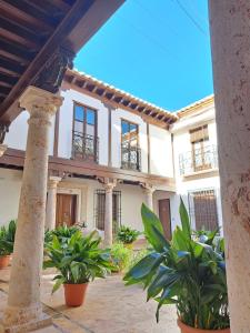 a large house with plants in front of it at Hotel QB Almagro Centro in Almagro