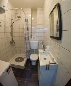 een badkamer met een wastafel, een toilet en een spiegel bij Studio apartman Gajba in city center in Zagreb