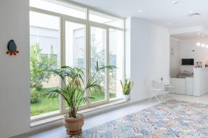 a living room with large windows and plants at Il Casale Normanno in San Vito dei Normanni