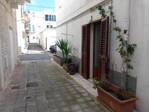 eine Gasse mit einer Tür und Topfpflanzen neben einem Gebäude in der Unterkunft Casa Perosi in Noci