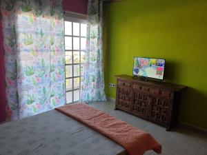 a bedroom with green walls and a bed and a window at Casa Rural Fayna in Granadilla de Abona
