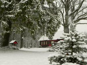 a snow covered yard with a red house and a snow covered tree at Aliai in Utena
