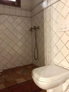 ein Bad mit einem WC und einer Dusche in der Unterkunft La Casa Amarilla in Rubielos de Mora