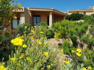 um jardim com flores amarelas em frente a uma casa em Holiday home Villetta La Cruzitta em Costa Paradiso