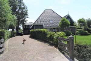 a dog walking down a brick driveway in front of a house at Logies De Hooiberg in Lutjewinkel