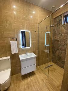 a bathroom with a toilet sink and a shower at DN House Dilijan in Dilijan +25 photos