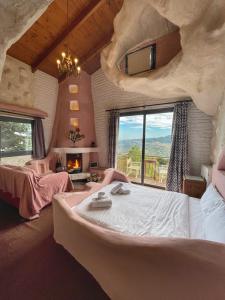 a bedroom with two beds in a room with a fireplace at Anemoessa in Synikia Mesi Trikalon