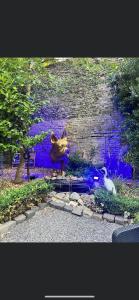 Fotografia z galérie ubytovania L’intense spa v destinácii Calais