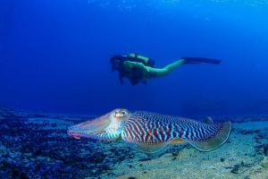 Hosté ubytování Casa Encanto - Ribera Beach in Mar de Cristal