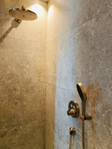 a shower with a monkey head on the wall at Guesthouse Andor in Balen