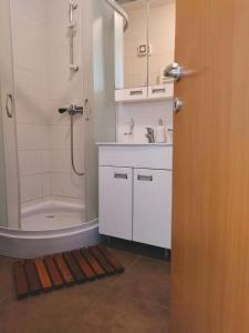 ein Badezimmer mit Dusche, Waschbecken und Badewanne in der Unterkunft Apartman Teodora in Kopaonik