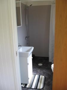 a small bathroom with a sink and a shower at Dagmarsgårdens Stuguthyrningen in Kullsbjörken