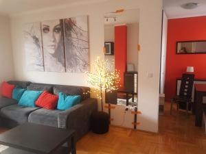Predel za sedenje v nastanitvi Rajiceva 5- apartman sa prostranom terasom i garaznim mestom