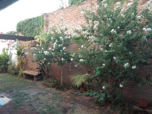 una pared de ladrillo con un árbol y un banco en Departamento Santa Fe Boulevard en Santa Fe