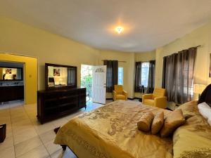 1 dormitorio grande con 1 cama grande y vestidor en A Luxurious 4-Bedroom Private Villa with Games Room, Theatre & Modern Art, en Montego Bay
