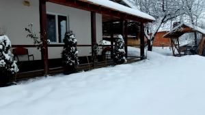 una casa cubierta de nieve con árboles delante en Dacha PODOBOVETS 127, en Podobovets