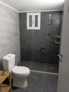 a bathroom with a toilet and a shower at RENA APARTMENTS in Magoúla