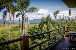 uma varanda com palmeiras e vista para um campo em Residencial Paraíso da Gamboa em Garopaba